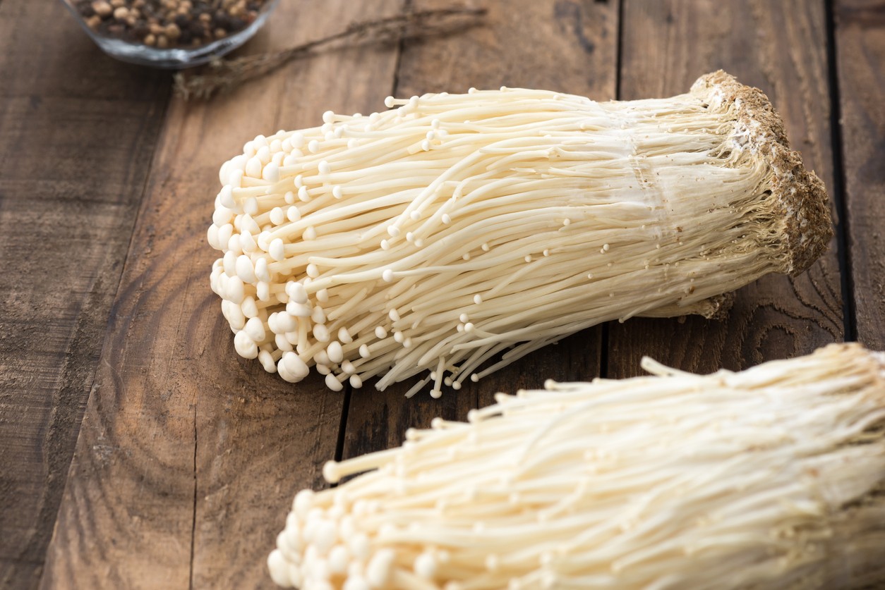 金针菇英文Enoki
