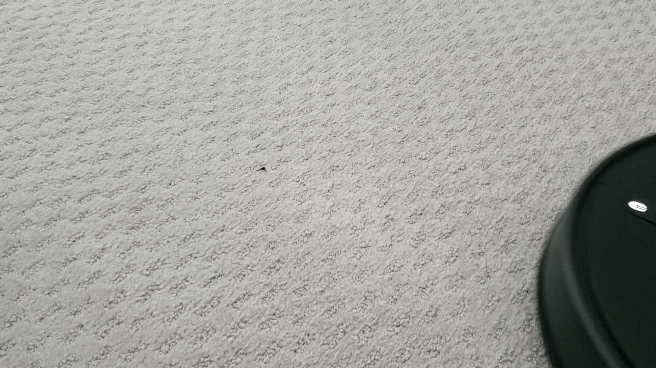 20200117_121415_1.gif