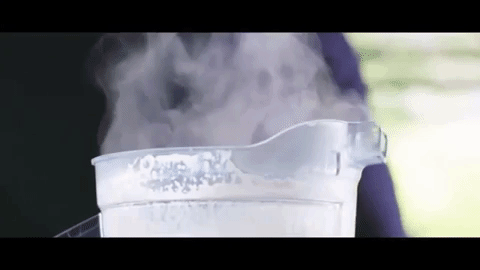 破壁机食谱