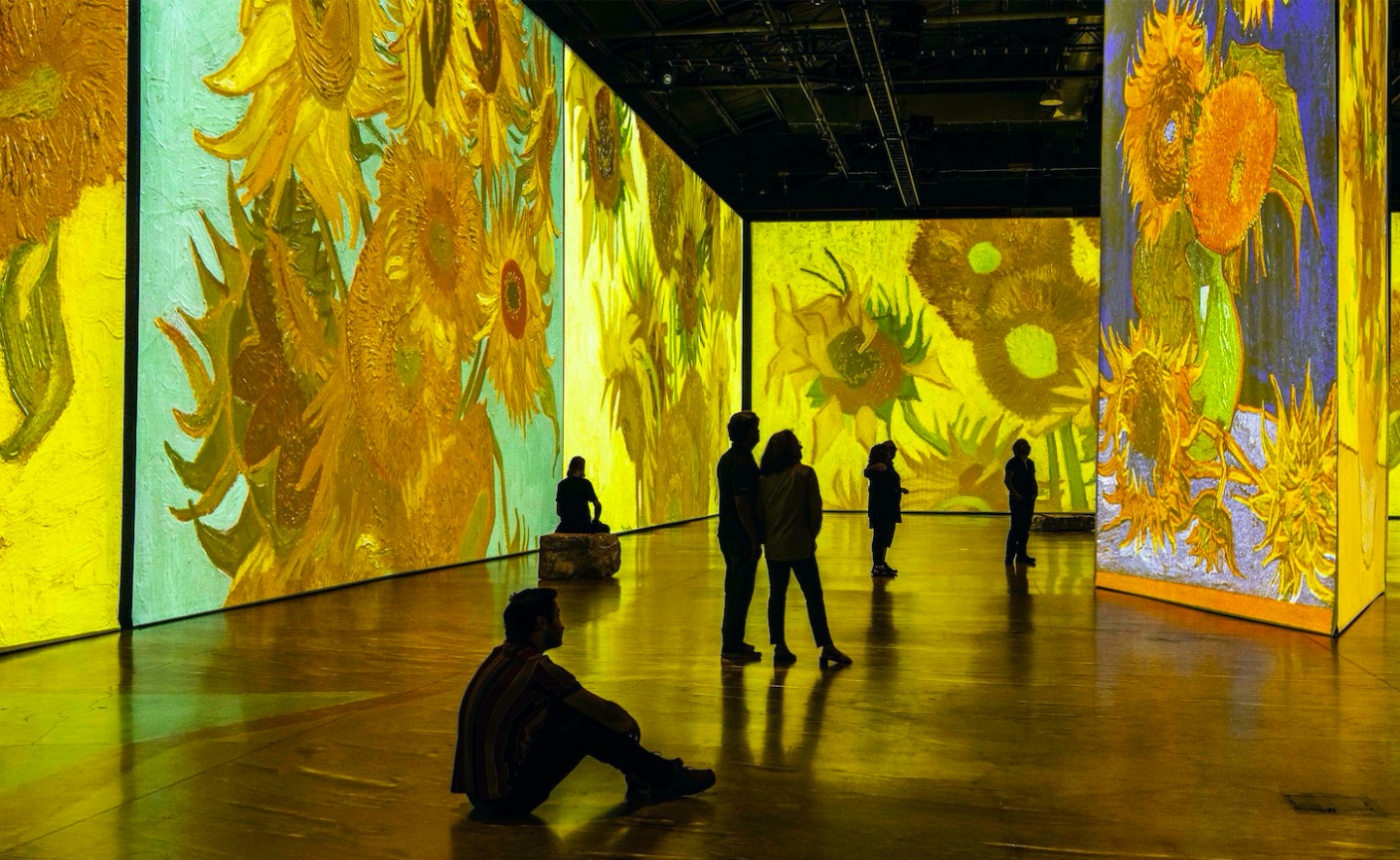 梵高沉浸式艺术展 北美增加多个城市展览 更多地点选择 成人票$39.