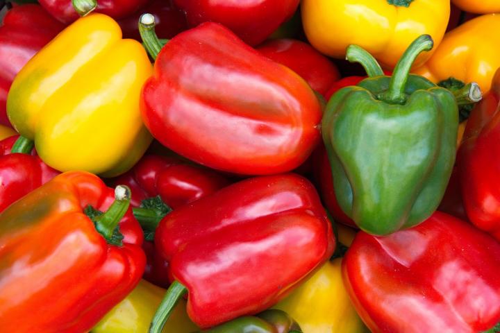 bell-peppers-assorted-crop
