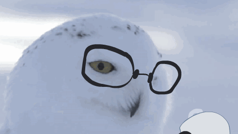 IMG_3611.GIF