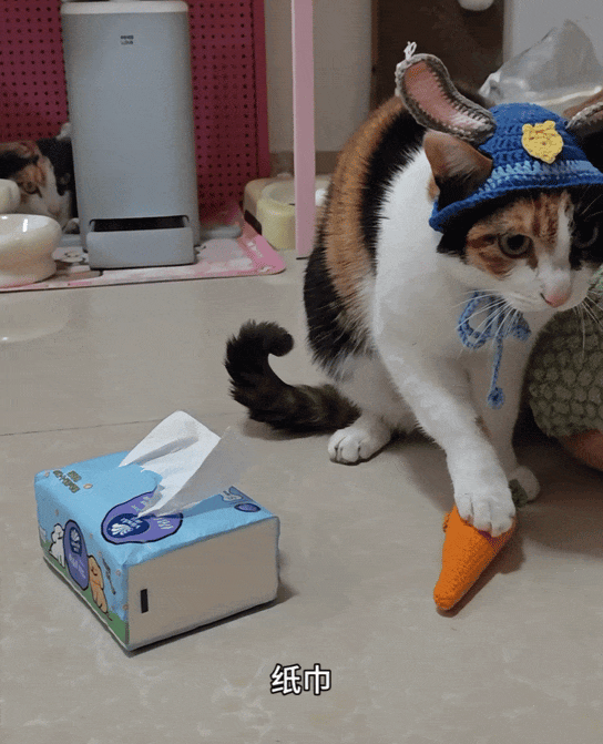 96e2-gif9ac095067e857c267b846d832ca985e8