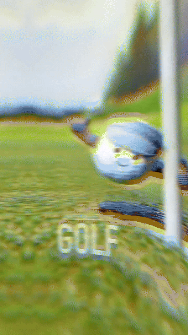 3.gif