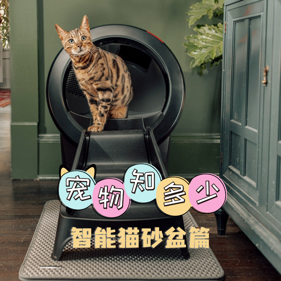自动猫砂盆