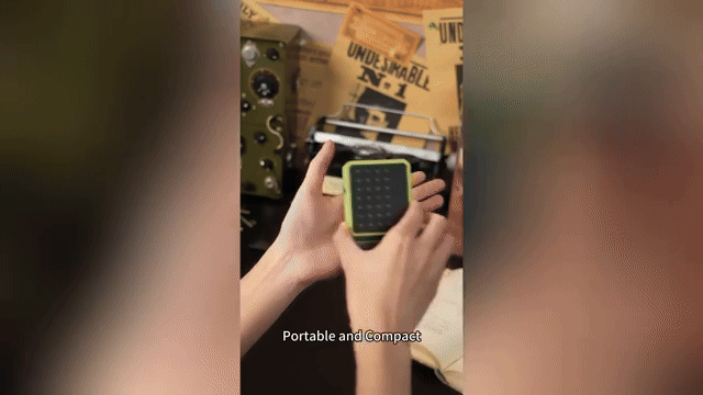 ezgif.com-video-to-gif-converter (1).gif