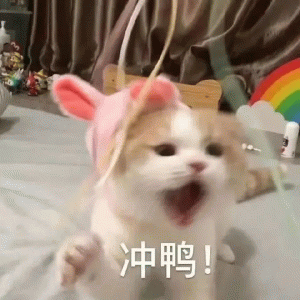 634b034f705748IC.gif