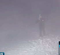 美东暴雪封城！降雪61cm+, 纽约波士...