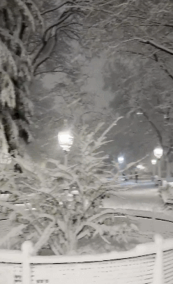 美东暴雪封城！降雪61cm+, 纽约波士...