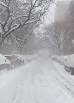 美东暴雪封城！降雪61cm+, 纽约波士...