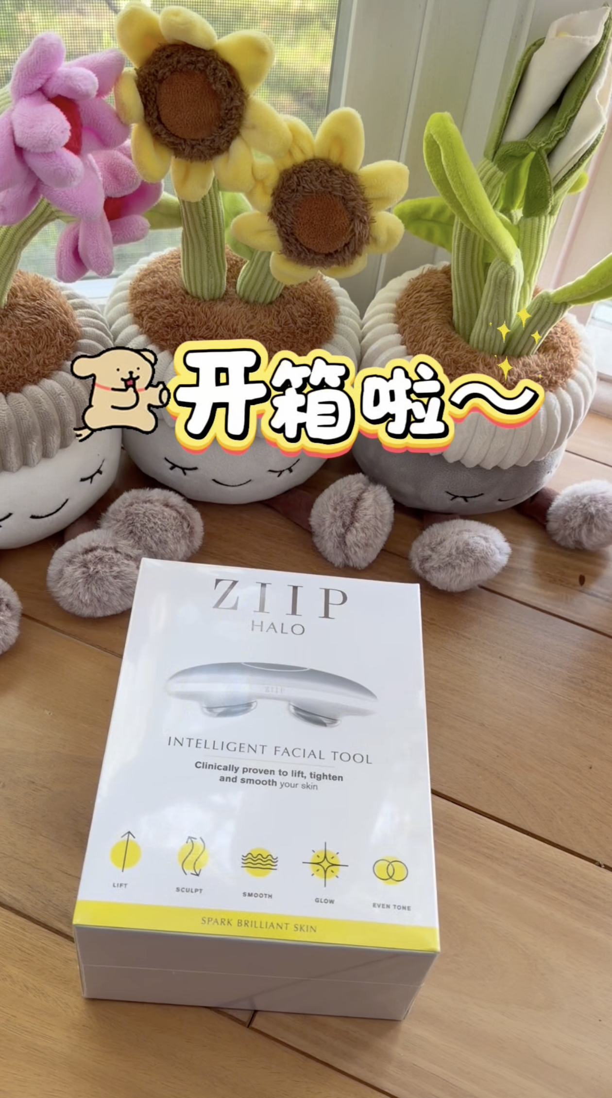 ZIIP HALO 2.0体验