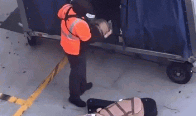 LAX机场地勤就这样扔吉他？！