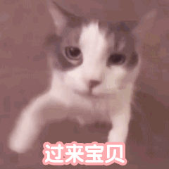 1234.gif
