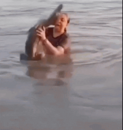 女子游泳捡木头没想竟是鳄鱼，下一秒吓疯