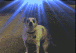 ac36151d08e34fac9108012ade95a8d9.gif