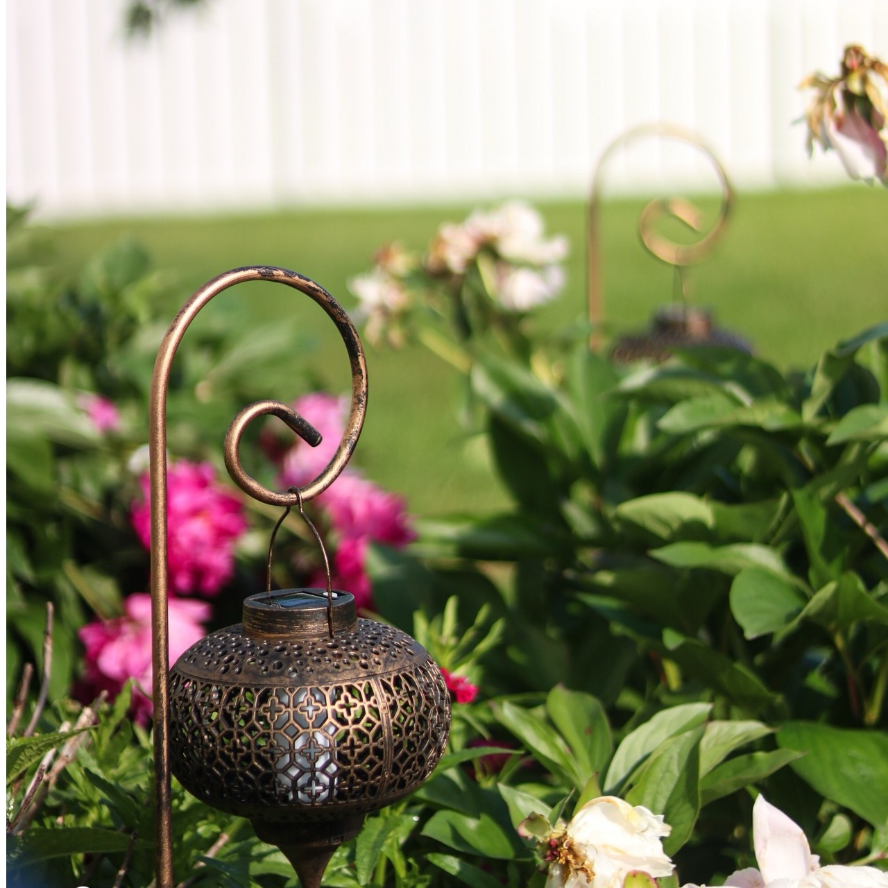 Dealmoon.com