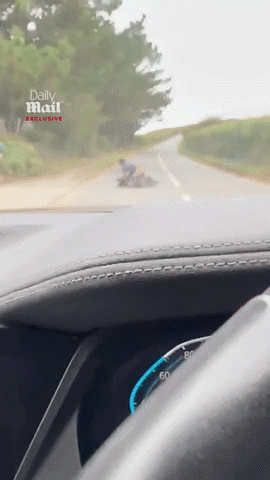 爆笑！男子公路肉搏越狱鸸鹋惨遭反杀，被“...