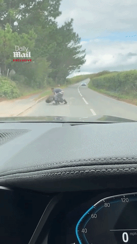 爆笑！男子公路肉搏越狱鸸鹋惨遭反杀，被“...