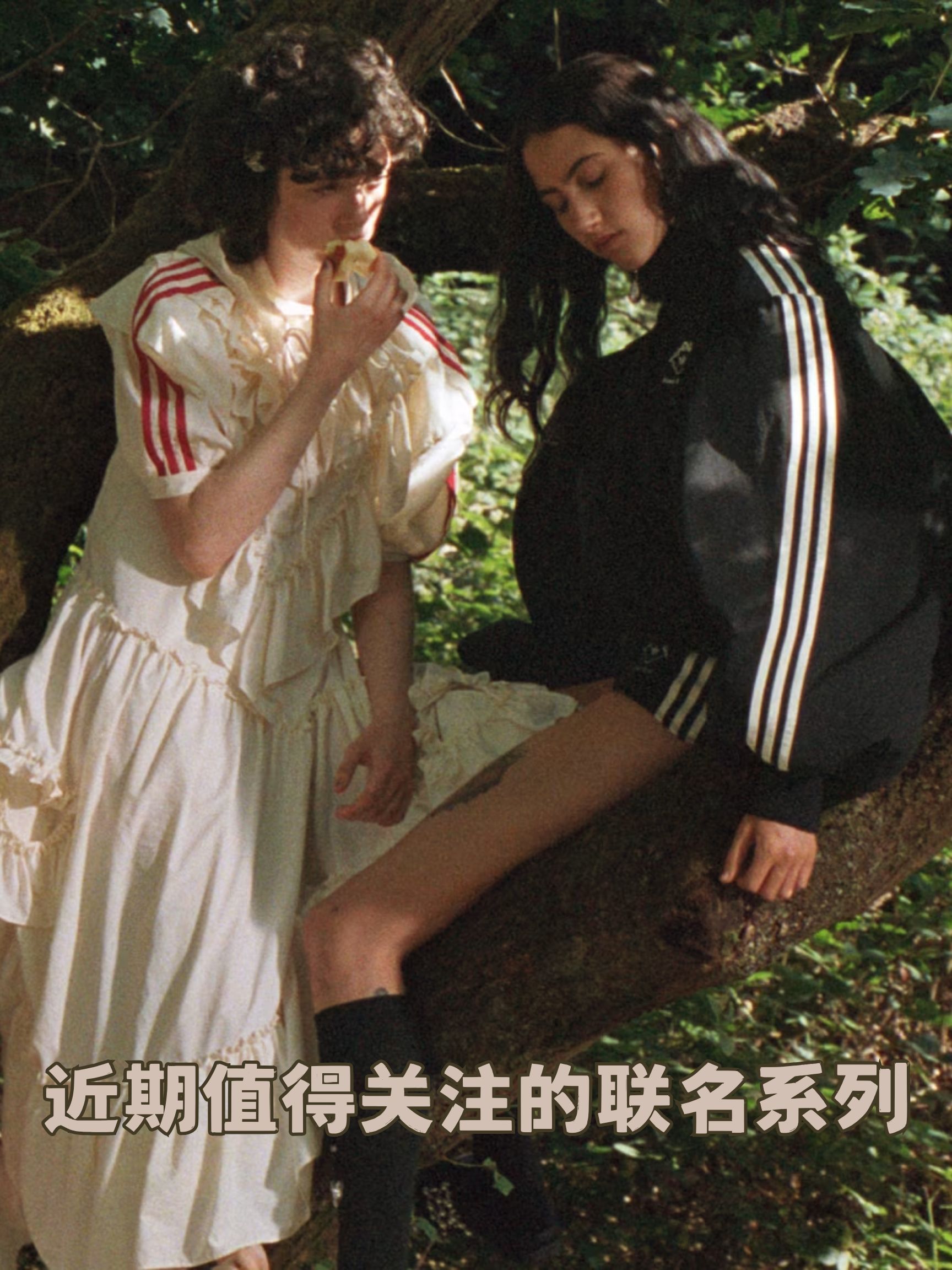 时髦人都在看什么？最近的联名含真的有点东西🛍️